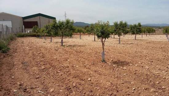 Urbanizable Programado en venta  en Pasaje Cerca La Caudete De Las Fuentes Valencia