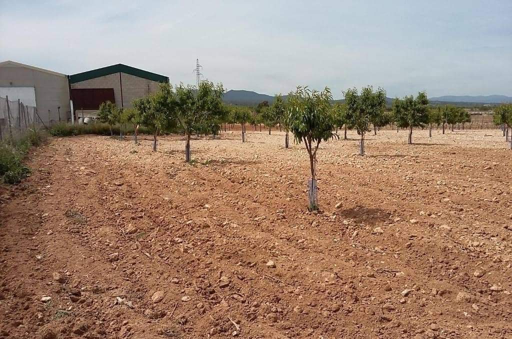 Urbanizable Programado en venta  en Pasaje Cerca La Caudete De Las Fuentes Valencia