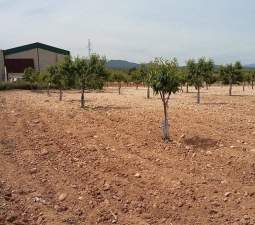 Urbanizable Programado en venta  en Pasaje Cerca La Caudete De Las Fuentes Valencia