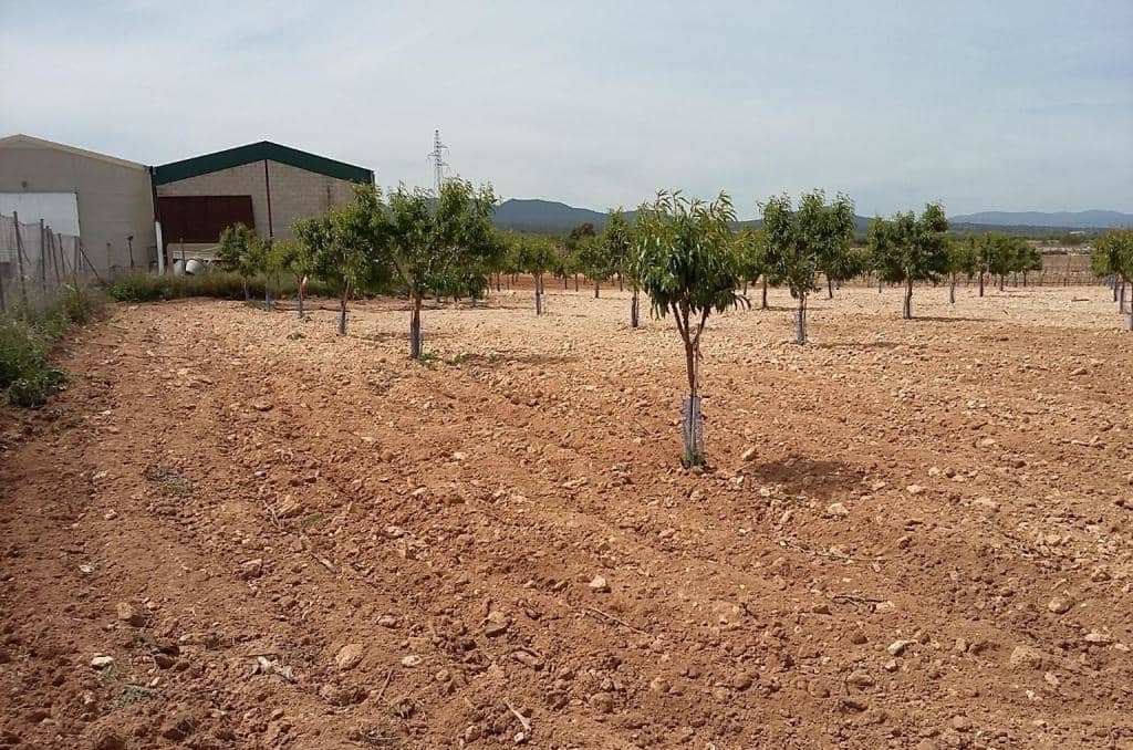 Urbanizable Programado en venta  en Pasaje Cerca La Caudete De Las Fuentes Valencia