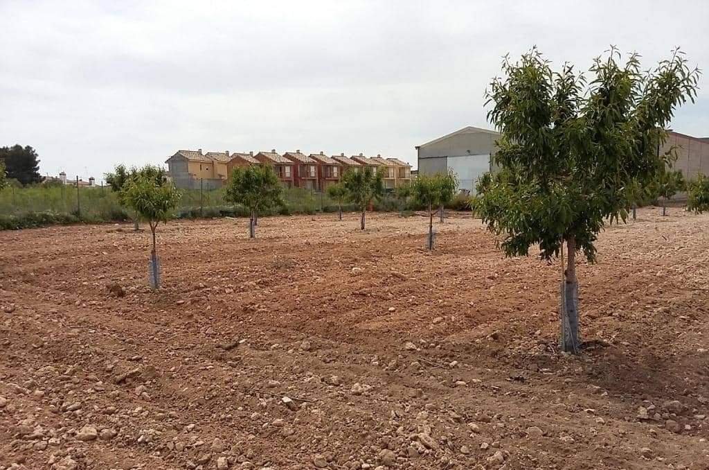 Urbanizable Programado en venta  en Pasaje Cerca La Caudete De Las Fuentes Valencia