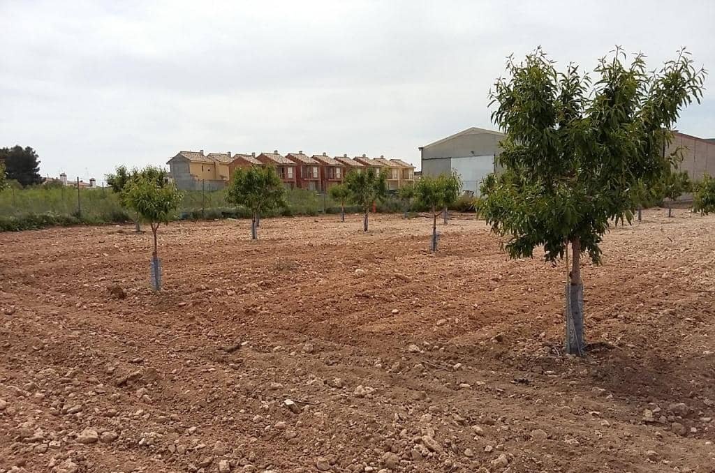 Urbanizable Programado en venta  en Pasaje Cerca La Caudete De Las Fuentes Valencia