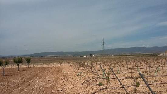 Urbanizable Programado en venta  en Pasaje Cerca La Caudete De Las Fuentes Valencia