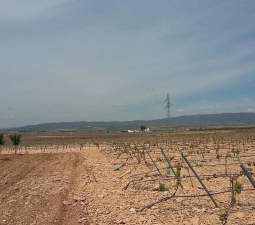 Urbanizable Programado en venta  en Pasaje Cerca La Caudete De Las Fuentes Valencia
