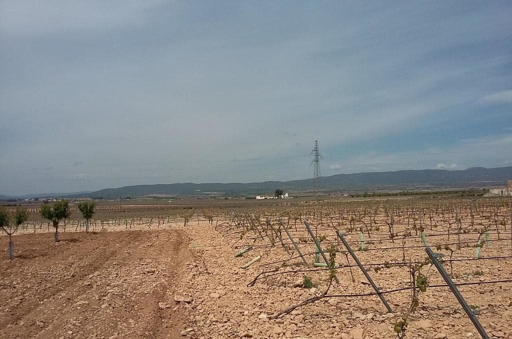 Urbanizable Programado en venta  en Pasaje Cerca La Caudete De Las Fuentes Valencia
