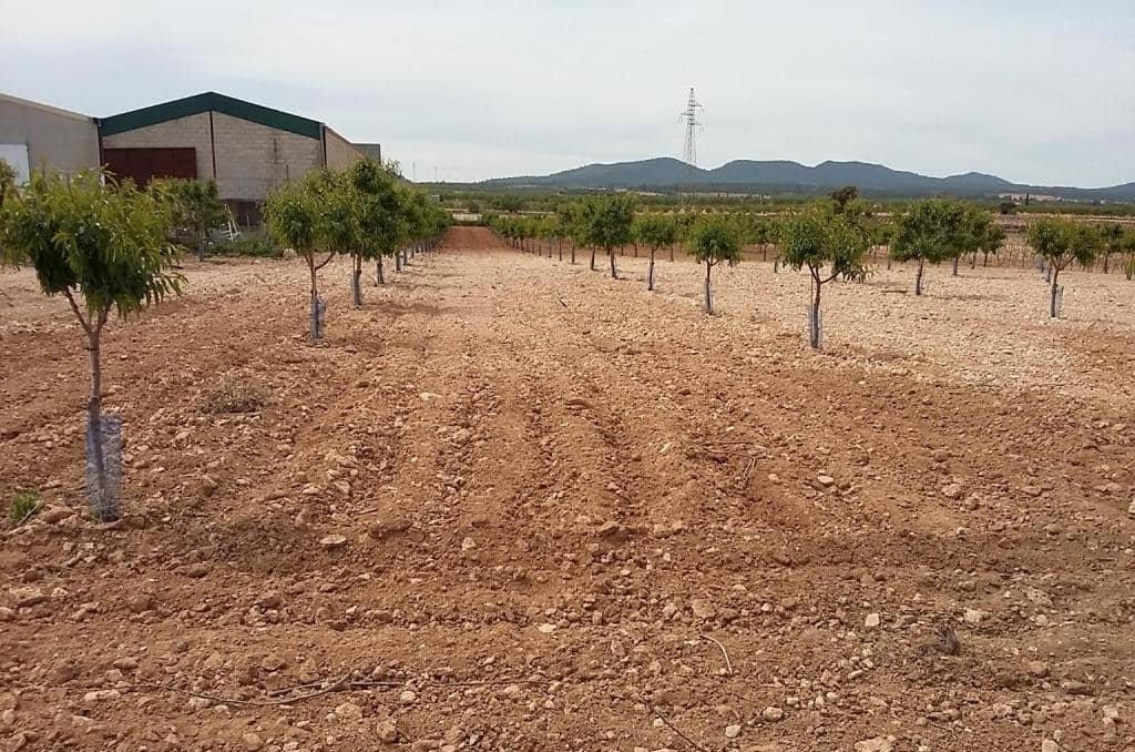 Urbanizable Programado en venta  en Pasaje Cerca La Caudete De Las Fuentes Valencia