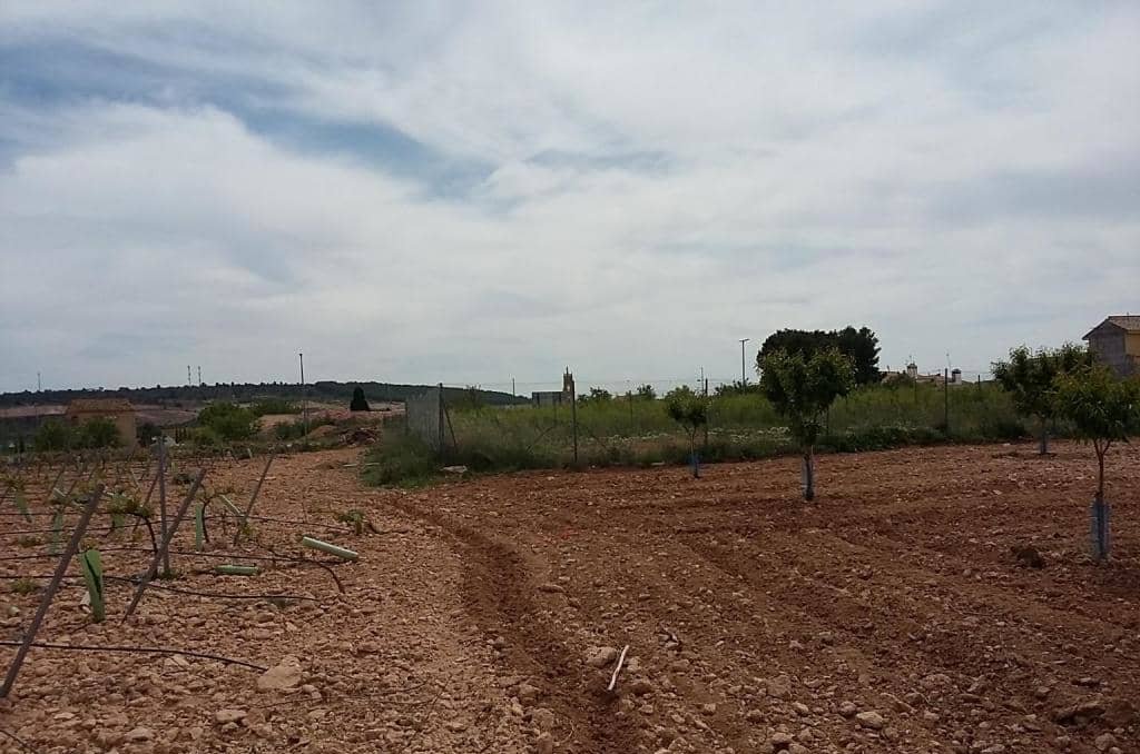 Urbanizable Programado en venta  en Pasaje Cerca La Caudete De Las Fuentes Valencia