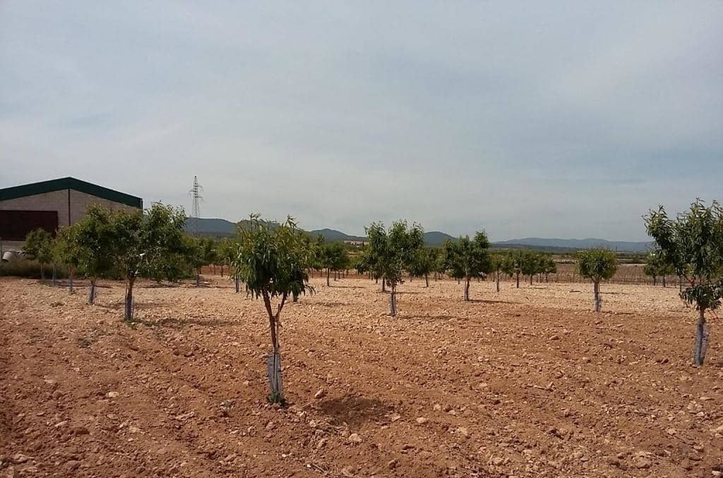 Urbanizable Programado en venta  en Pasaje Cerca La Caudete De Las Fuentes Valencia