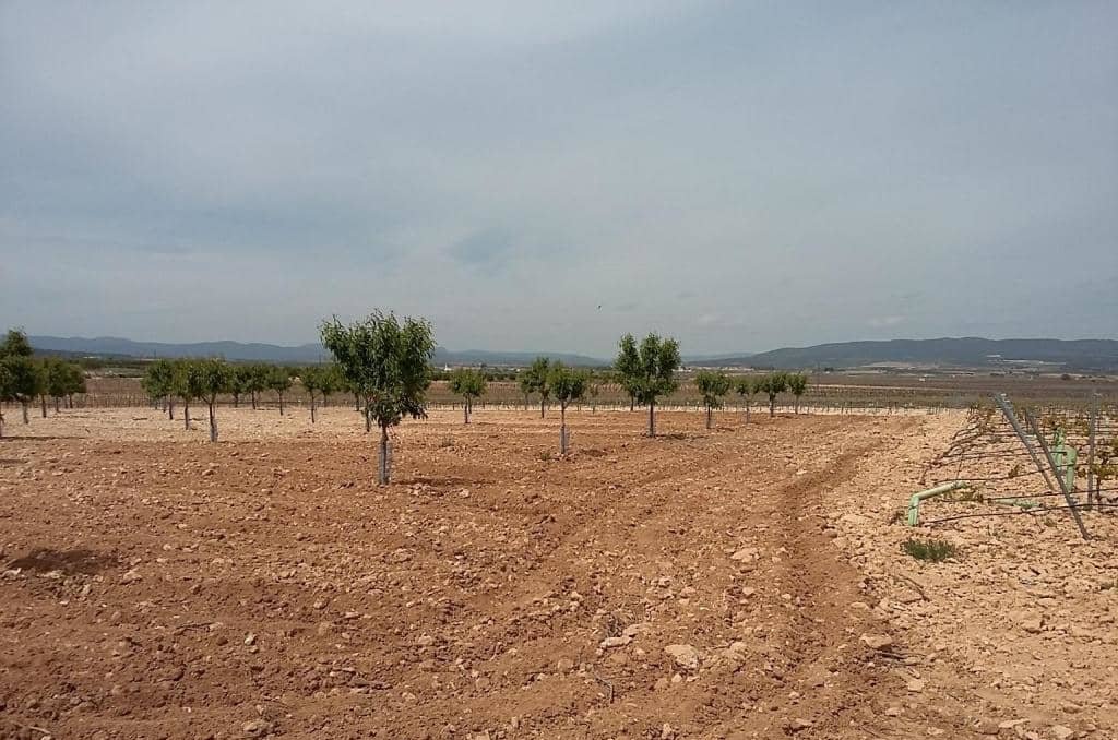 Urbanizable Programado en venta  en Pasaje Cerca La Caudete De Las Fuentes Valencia