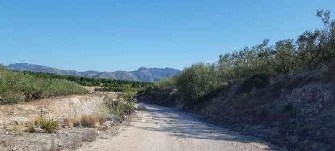 No Urbanizable (Rústico) en venta  en Partida Les Planes, Benicolet, Valencia