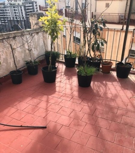 Vivienda en venta en Alcora, Castellón