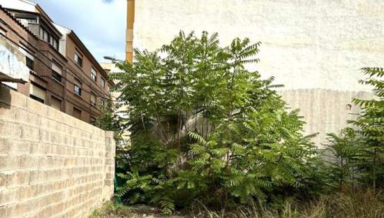 Suelo En Venta En Vazquez Mella, Castellón De La Planacastelló De La Plana