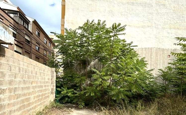 Suelo En Venta En Vazquez Mella, Castellón De La Planacastelló De La Plana