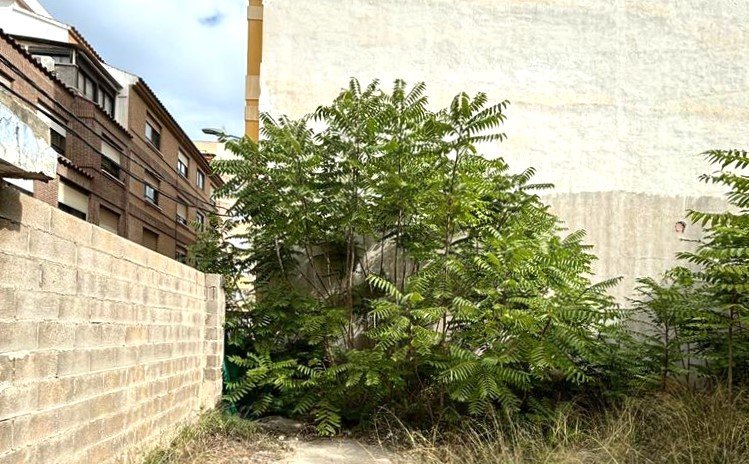 Suelo En Venta En Vazquez Mella, Castellón De La Planacastelló De La Plana