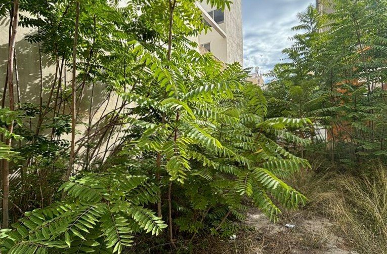 Suelo En Venta En Vazquez Mella, Castellón De La Planacastelló De La Plana