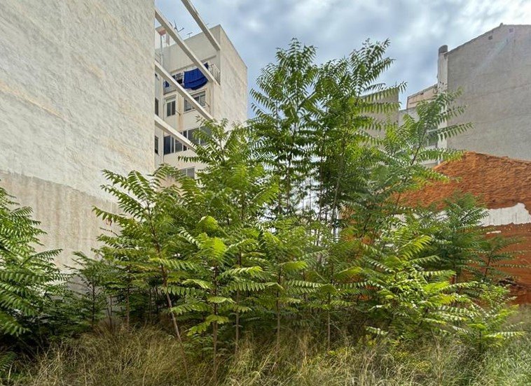 Suelo En Venta En Vazquez Mella, Castellón De La Planacastelló De La Plana