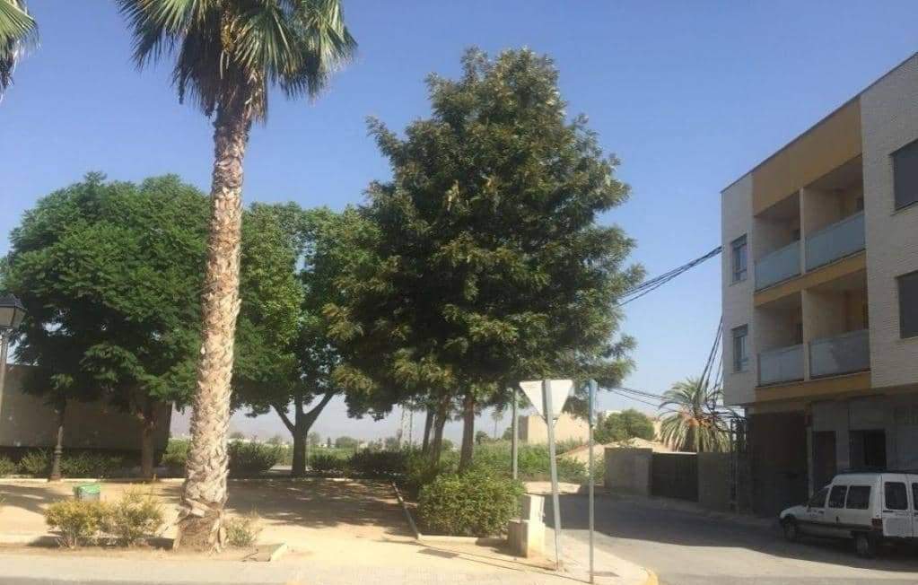 Garaje en venta en Calle Virgen Del Pilar Benejzar Alicante