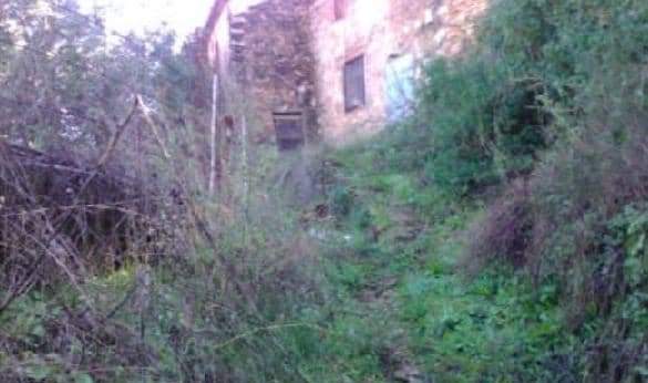 Urbano (Solar) en venta  en Calle Camino Del Cementerio, Tales, Castellón