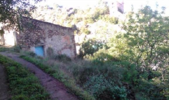 Urbano (Solar) en venta  en Calle Camino Del Cementerio, Tales, Castellón