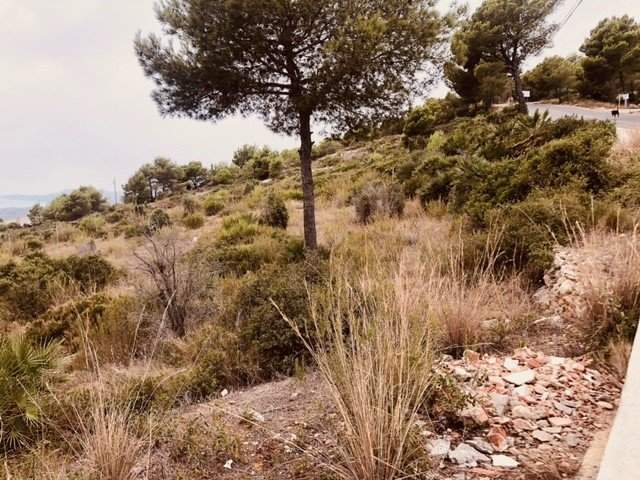 Terreno en venta en Alcalá De Chivert