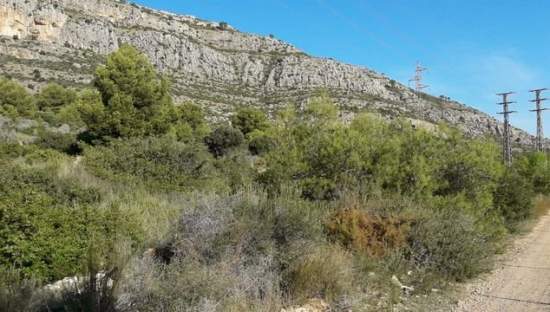 Suelo urbanizable residencial en venta en c4 parcela 206  oropesa Oropesa del MarOrpesa por 81600 con 24536m