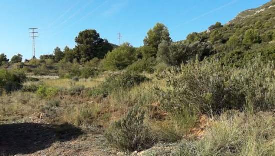 Suelo urbanizable residencial en venta en c4 parcela 206  oropesa Oropesa del MarOrpesa por 81600 con 24536m
