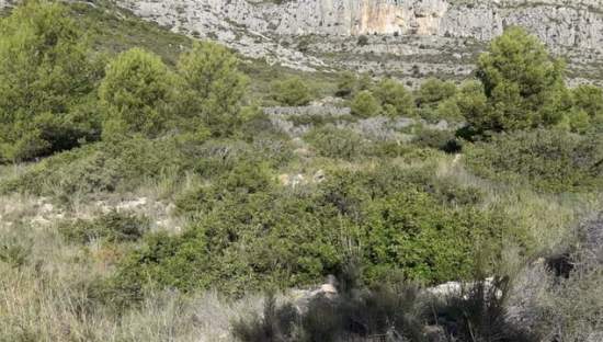 Suelo urbanizable residencial en venta en c4 parcela 206  oropesa Oropesa del MarOrpesa por 81600 con 24536m