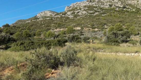 Suelo urbanizable residencial en venta en c4 parcela 206  oropesa Oropesa del MarOrpesa por 81600 con 24536m