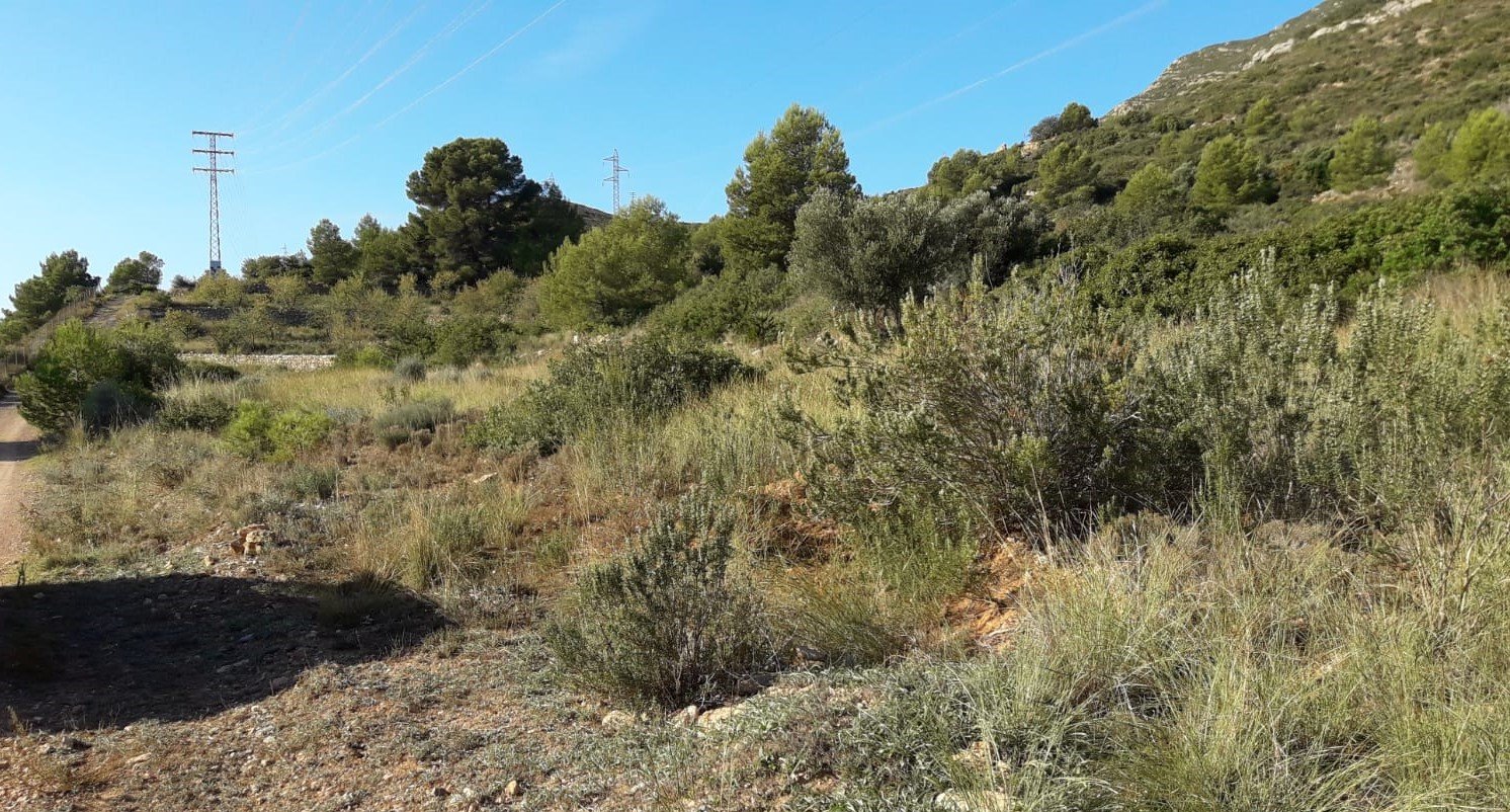 Terreno Rústico en venta en Oropesa Del Mar, Castellón