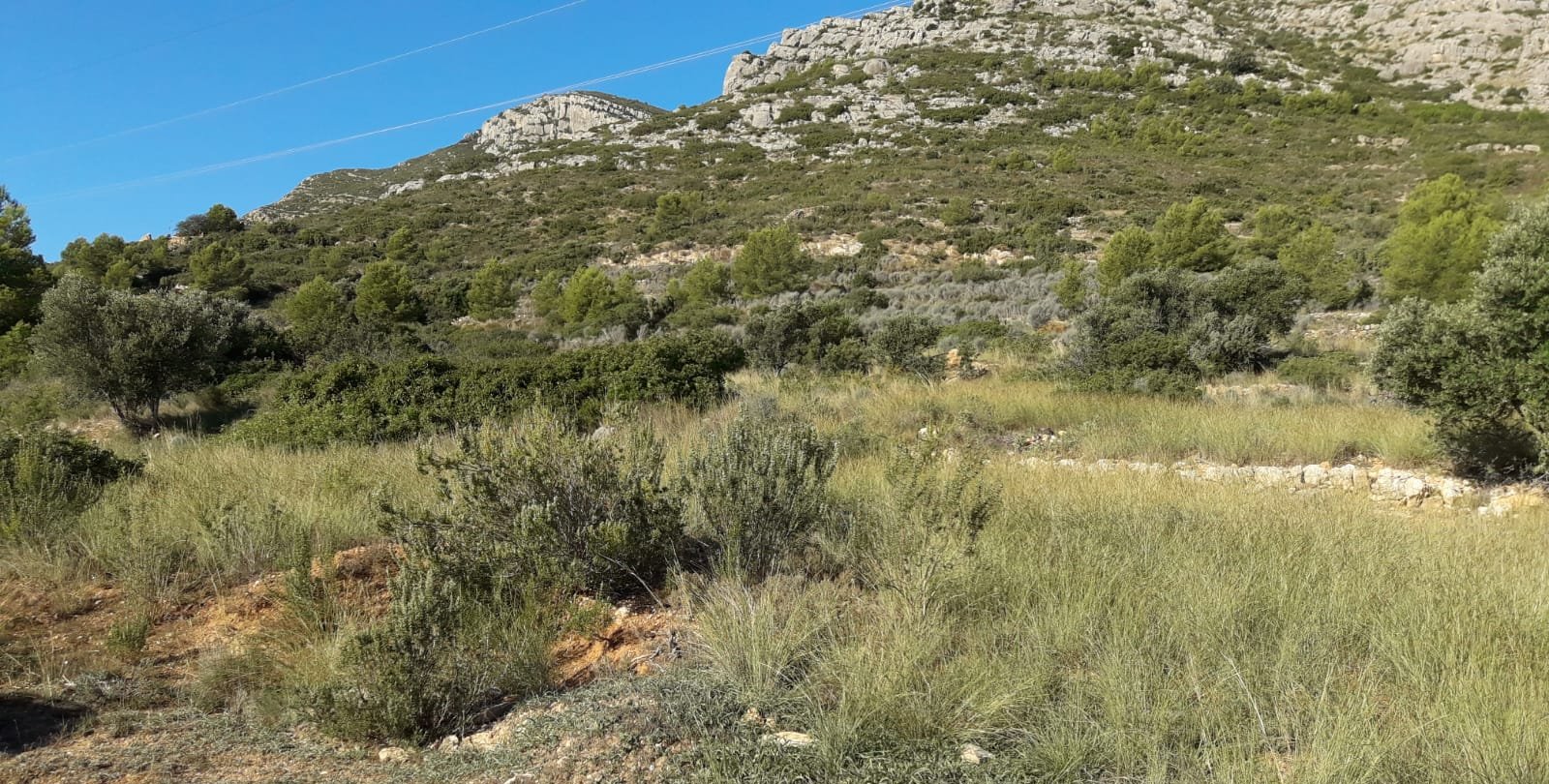 Terreno Rústico en venta en Oropesa Del Mar, Castellón