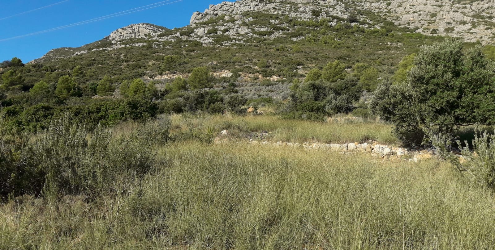 Terreno Rústico en venta en Oropesa Del Mar, Castellón