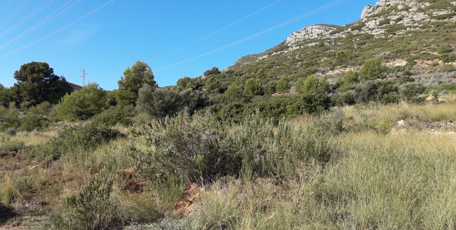 Terreno Rústico en venta en Oropesa Del Mar, Castellón
