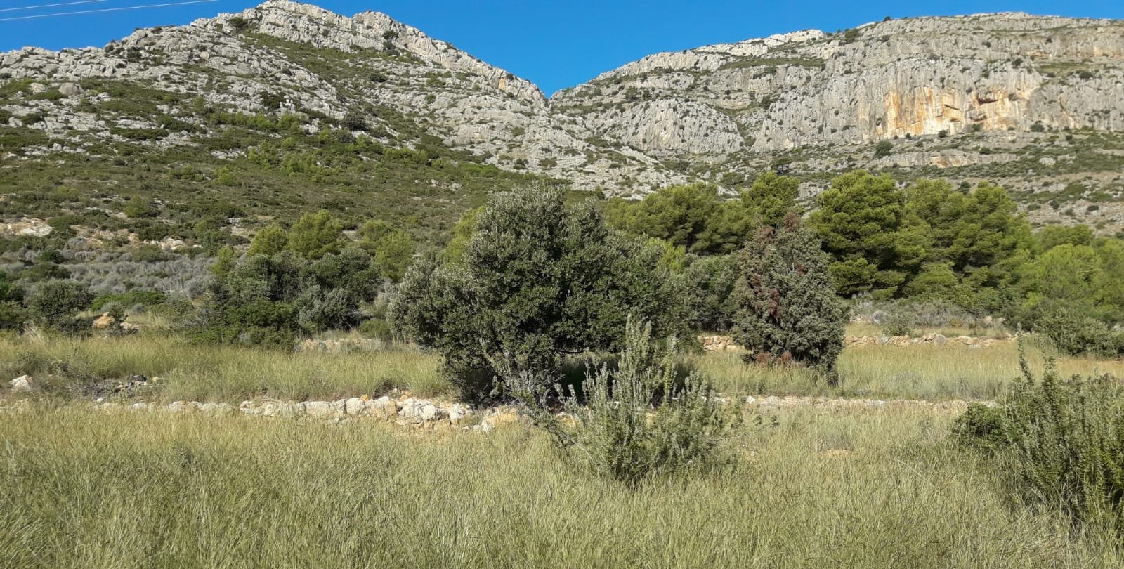 Terreno Rústico en venta en Oropesa Del Mar, Castellón