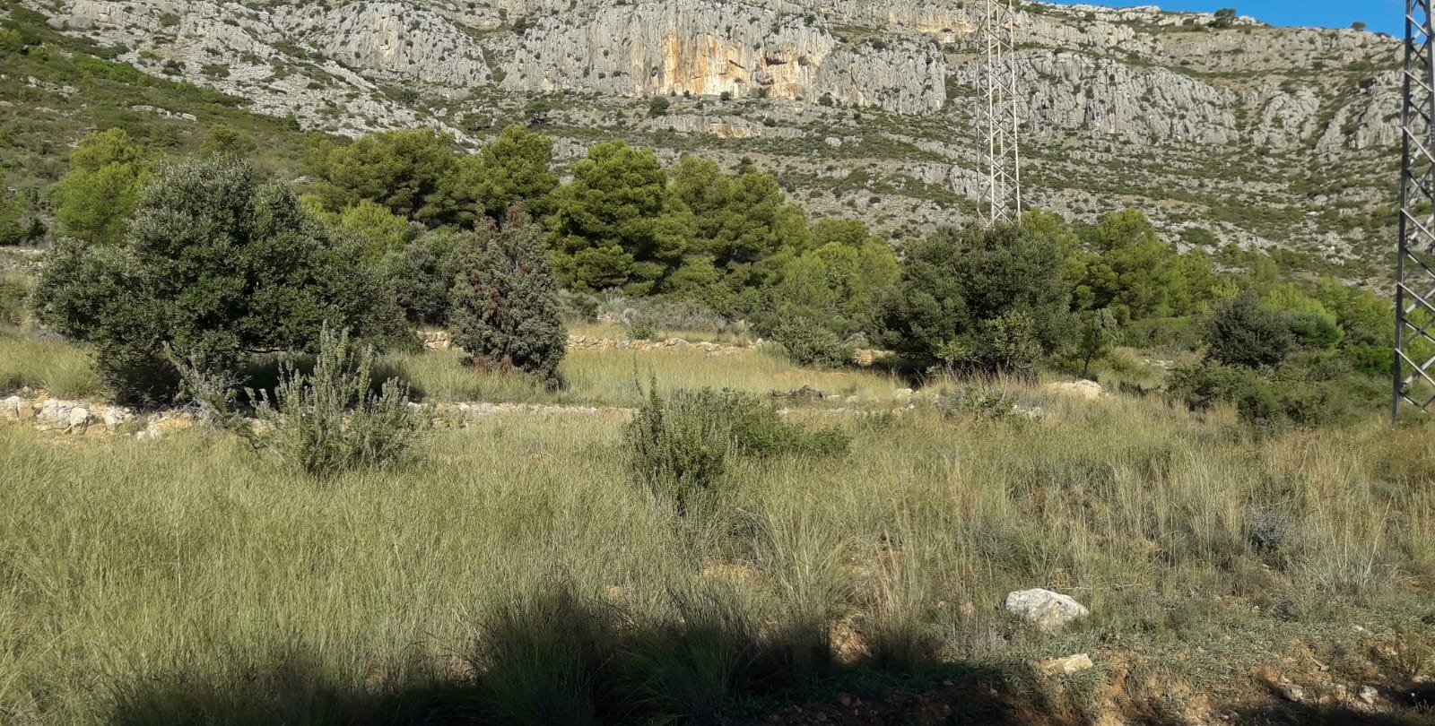 Terreno Rústico en venta en Oropesa Del Mar, Castellón