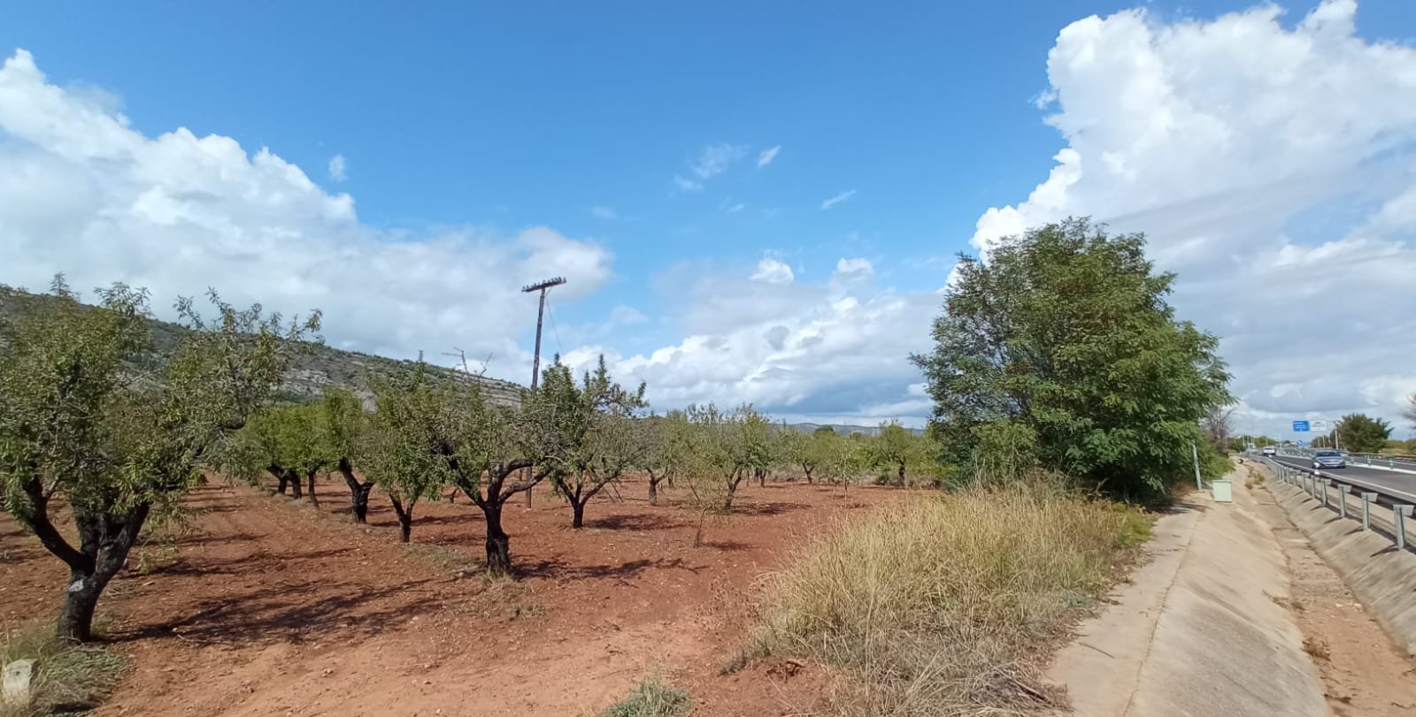 Terreno Rústico en venta en Oropesa Del Mar, Castellón