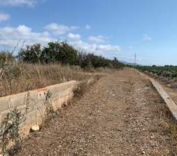 Terreno Rústico en venta en Vinaròs, Castellón