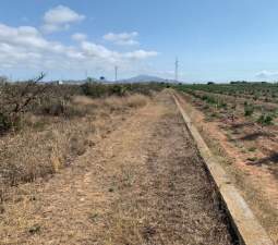 Terreno Rústico en venta en Vinaròs, Castellón