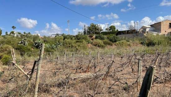 Solar en venta en Lugar Paraje Cucuch Novelda Alicante