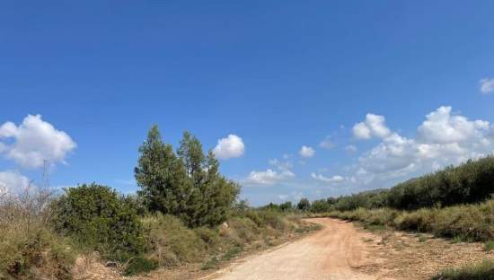 Solar en venta en Lugar Paraje Cucuch Novelda Alicante