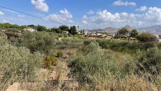 Solar en venta en Lugar Paraje Cucuch Novelda Alicante