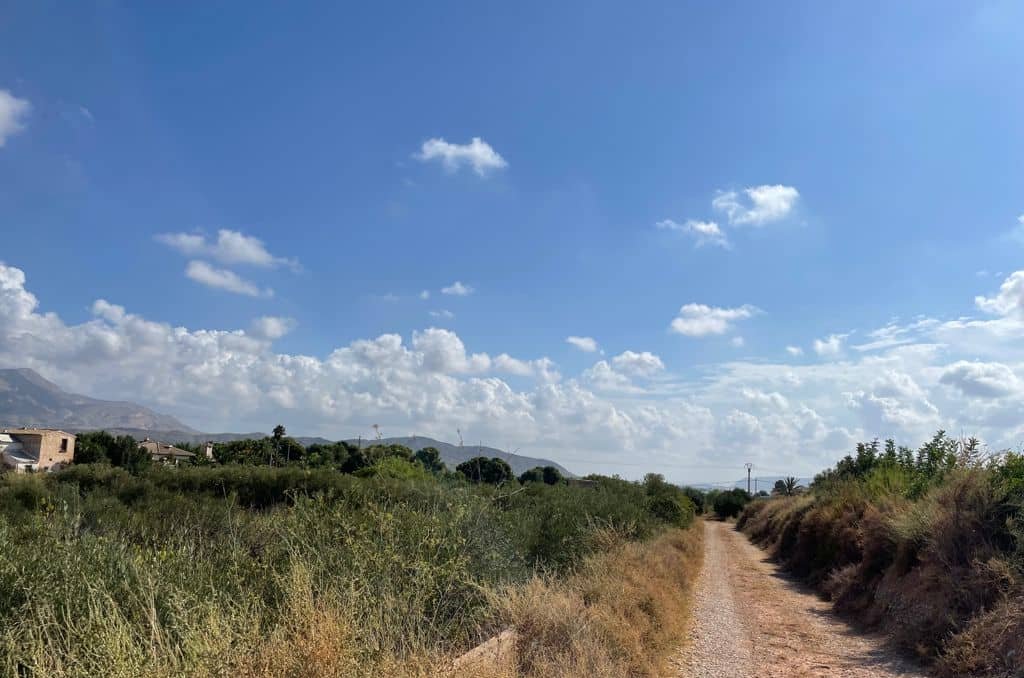 Solar en venta en Lugar Paraje Cucuch Novelda Alicante