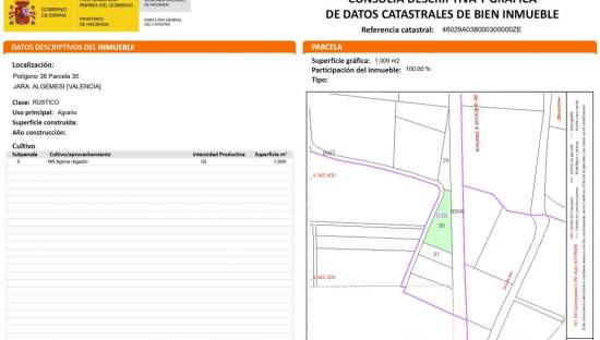 Terreno en venta en Algemesí, Valencia