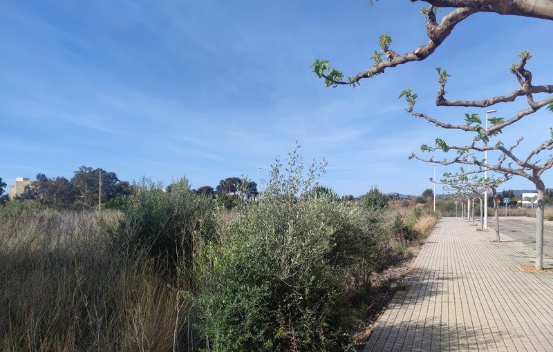 Terreno Urbano en venta en Torreblanca, Castellón