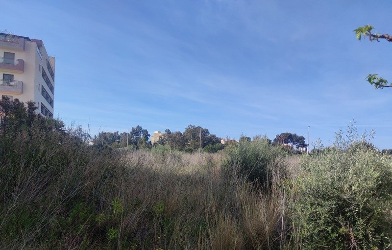 Terreno Urbano en venta en Torreblanca, Castellón