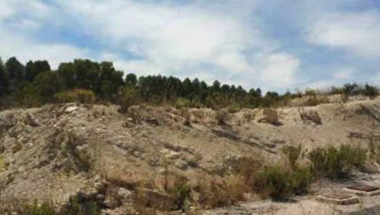 Solar en venta en Urbanizacin Nueva Caravaca Parc 1 Manz 17 Y Parc 1 Manz 18V Caravaca De La Cruz Murcia