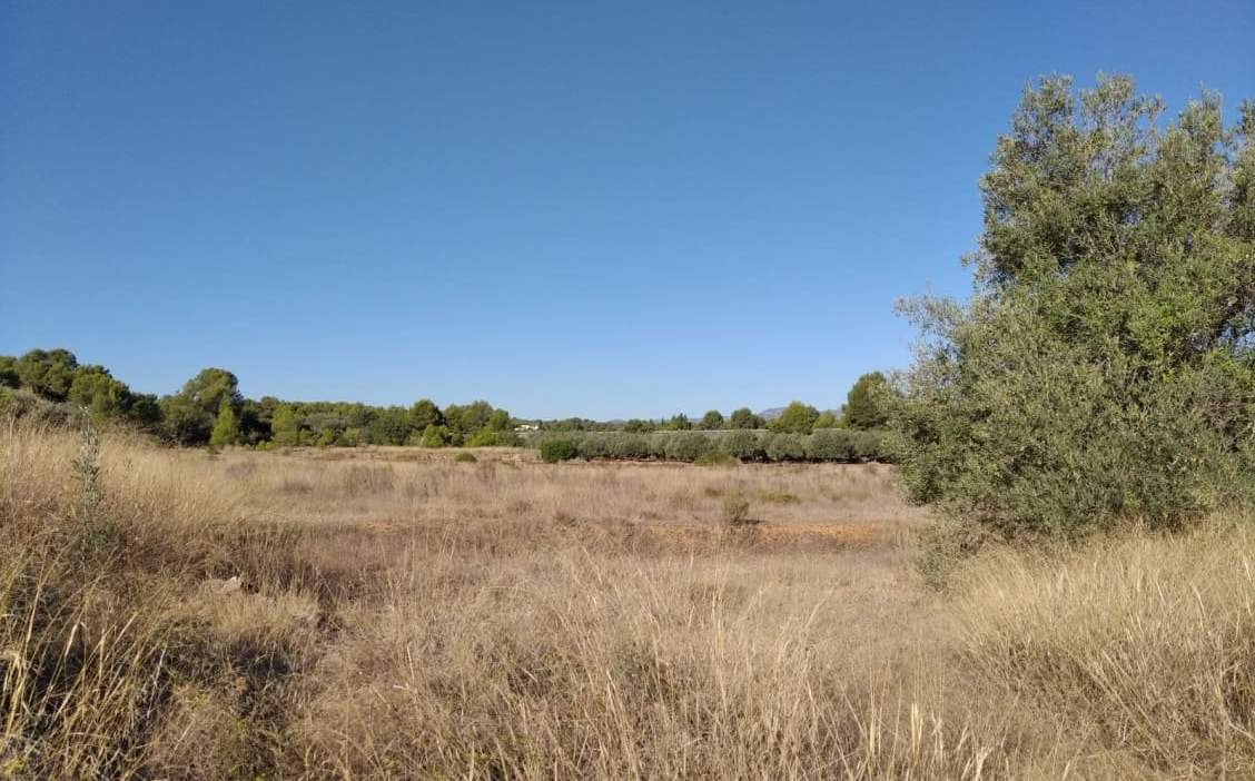 Suelo Rstico No Urbanizable en venta en Polgono Polgono 10 Parcela 69 Crehuetes Vilamarxant Valencia
