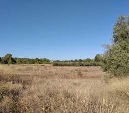 Suelo Rstico No Urbanizable en venta en Polgono Polgono 10 Parcela 69 Crehuetes Vilamarxant Valencia