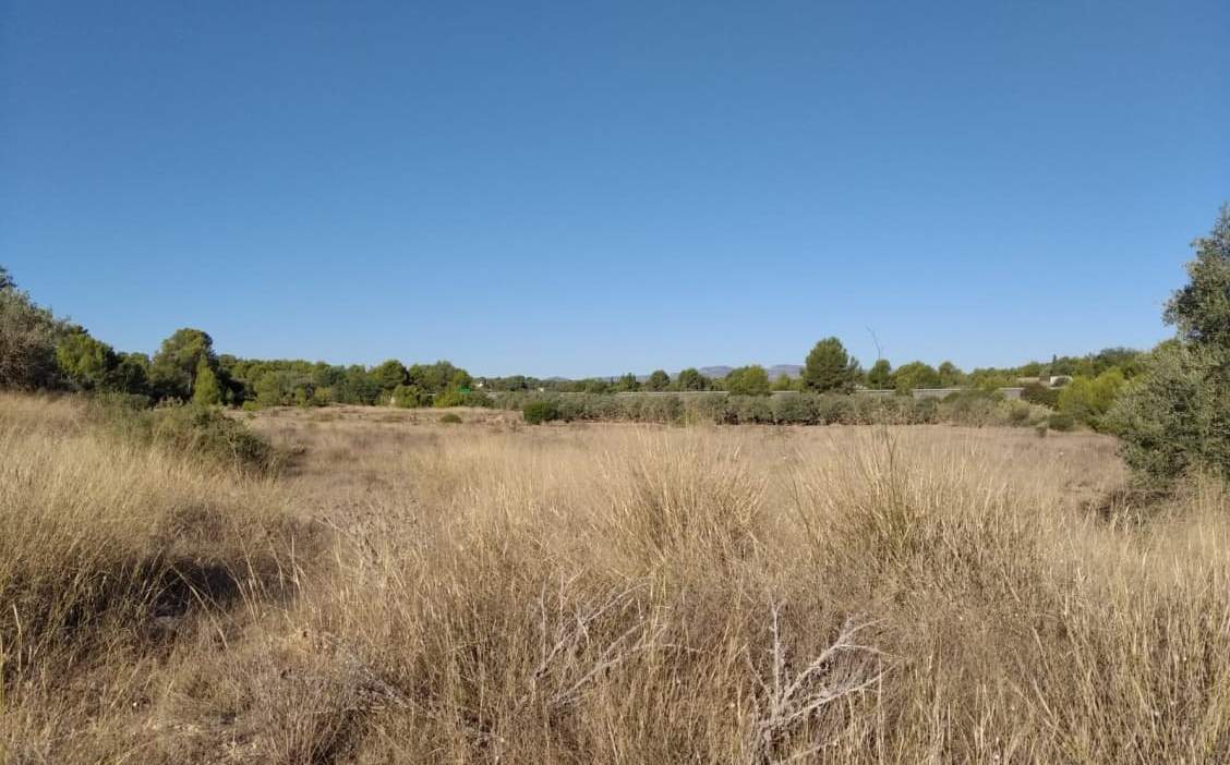 Suelo Rstico No Urbanizable en venta en Polgono Polgono 10 Parcela 69 Crehuetes Vilamarxant Valencia