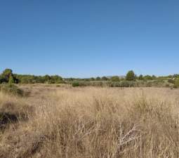 Suelo Rstico No Urbanizable en venta en Polgono Polgono 10 Parcela 69 Crehuetes Vilamarxant Valencia