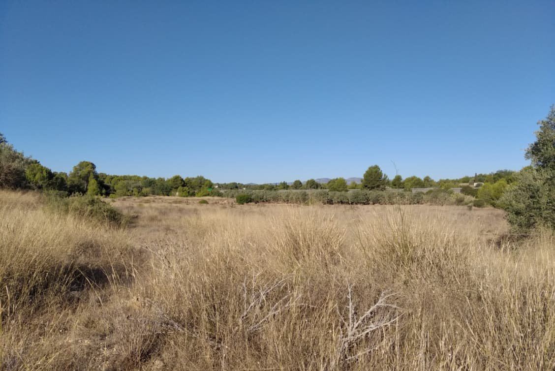 Suelo Rstico No Urbanizable en venta en Polgono Polgono 10 Parcela 69 Crehuetes Vilamarxant Valencia